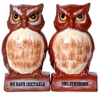 Pacific Giftware Irritable Owls Syndrome Ceramic Magnetic Salt and Pepper Shaker Set