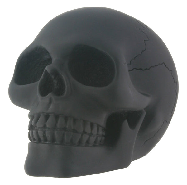 Black Skull Head Collectible Skeleton Decoration Figurine
