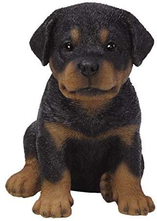 Pacific Giftware PT Realistic Look Black and Tan Rottweiler Puppy Dog Home Decorative Resin Figurine
