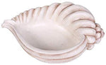 Pacific Giftware PT Seashell Display Decorative Decor
