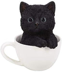 Adorable Pet Pals Glass Eyes Black Kitten Cat in The Cup