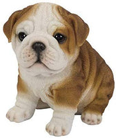 Pacific Giftware English Bulldog Puppy Statue Realistic Looking Glass Eyes