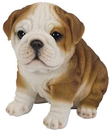 Pacific Giftware English Bulldog Puppy Statue Realistic Looking Glass Eyes