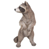 Realistic Looking Raccoon Standing On Hind Legs Statue Life Size
