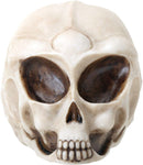 Small Realistic Alien Skull Face with Deep Eyes Figurine Statue