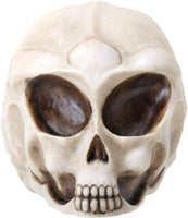 Small Realistic Alien Skull Face with Deep Eyes Figurine Statue