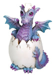 YTC Bindy Dragon Hatchling - Collectible Figurine Statue Sculpture Figure