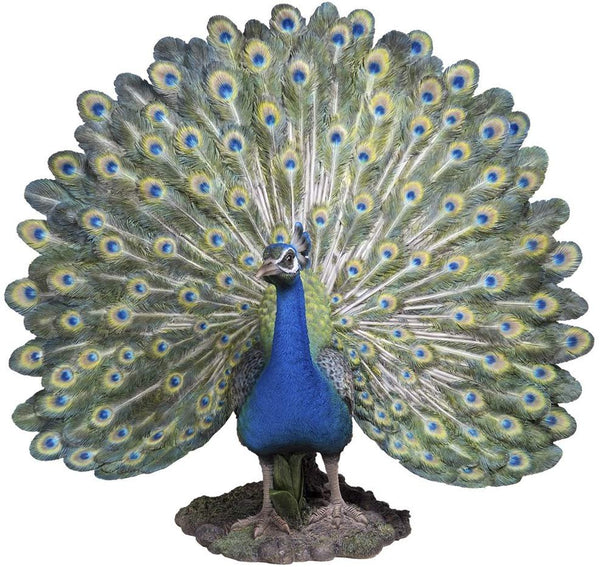 Majestic Peacock Spreading Its Proud Wings Colorful Plumage Statue Gallery Quality Detailed Sculpture Amazing Likeness Life Size Scale Resin Sculpture Hand Painted Statue Indoor Outdoor Decor