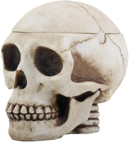 Skull Head Box Ashtray Display Decoration