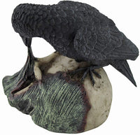 Sinister Raven Devouring Rotten Zombie Skull Figure