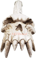 Skeleton Bone Back Scratcher Resin Skull Head Tail Bone