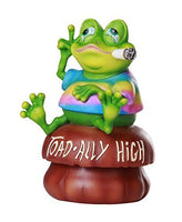 Pacific Giftware Toad-Ally High Weed Smoking Toad Trinket Box Novelty Stash Box