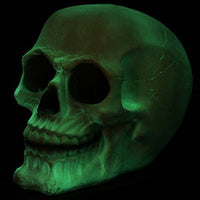 Pacific Giftware Glow in The Dark Luminescence Skull Halloween Decorative Accessory 3.75 Inch Tall