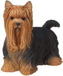 Realistic Life Size Yorkshire Terrier Yorkie Statue Detailed Sculpture Glass Eyes Hand Painted Resin 12 inch Figurine Home Decor Amazing Likeness