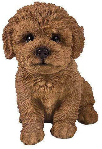 Pacific Giftware PT Realistic Look Statue Brown Bichon Frise Puppy Dog Home Decorative Resin Figurine