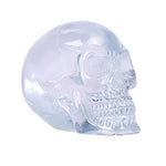 Pacific Giftware Clear Translucent Skull Collectible Home Decor Resin
