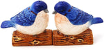 Blue Birds Attractives Salt Pepper Shaker Made of Ceramic