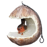 ABZ Brand Garden Farm Colorful Fruits Hanging Wild Bird Feeder (Coconut)