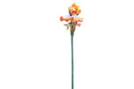 Iris with Winged Fairies Flitty Statue Figurine in Window Gift Box