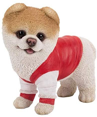 Pacific Giftware PT Short Hair Boo Dog with Gym wear Home Decorative Resin Figurine
