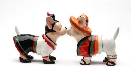 Magnetic Salt and Pepper Shaker - Chi Chi Chi