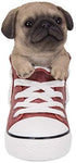 Pacific Giftware PT All Star Animal Pug Dog in The Shoes Decorative Resin Figurine