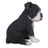 Pacific Giftware Adorable Seated Boston Terrier Puppy Collectible Figurine Amazing Dog Likeness Hand Painted Resin 6.5 inch Figurine Great for Dog Lovers Tabletop Decor
