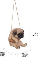 Hanging Pug Puppy