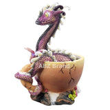 ABZ Brand Coffee Bean Leaf Pinky Dragon in Coffee Cup