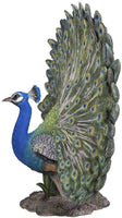 Majestic Peacock Spreading Its Proud Wings Colorful Plumage Statue Gallery Quality Detailed Sculpture Amazing Likeness Life Size Scale Resin Sculpture Hand Painted Statue Indoor Outdoor Decor