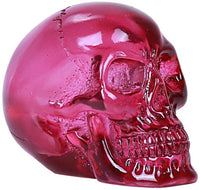 ABZ Brand Clear Translucent Purple Skull Collectible Halloween Skeleton Human