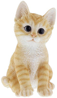 Border Concepts Nature's Gallery Pet Pals (Orange Kitten)
