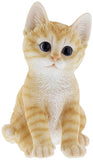 Border Concepts Nature's Gallery Pet Pals (Orange Kitten)