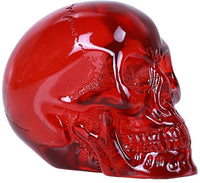 ABZ Brand Clear Translucent Red Skull Collectible Halloween Skeleton Human