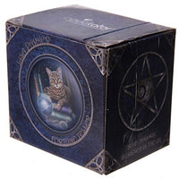 4" Fortune Teller Cat New Bone China Porcelain Coffee Drink Mug