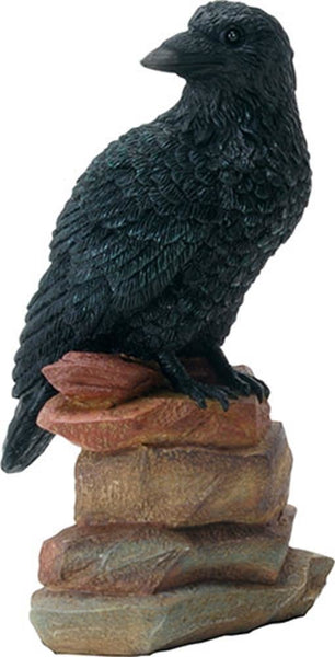 YTC Black Feathered Raven Sitting on Stack of Red and Green Stones
