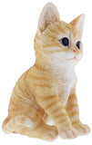 Border Concepts Nature's Gallery Pet Pals (Orange Kitten)