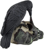 Sinister Raven Devouring Rotten Zombie Skull Figure