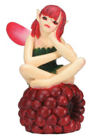 Fairy Sitting on Raspberry Figurine