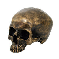 Brush Gold Cool Skull Collectible Figurine
