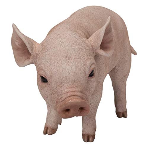 Pacific Giftware PT Realistic Look Statue Farm Piggy Pig Home Decorative Resin Figurine