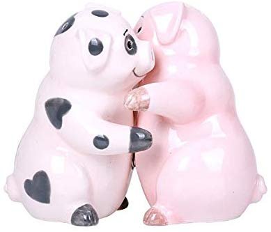 Hugging Pigs Magnetic Ceramic Salt and Pepper Shakers Set