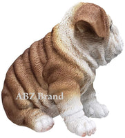 Adorable Wrinkled English Bulldog Puppy Red White Bully Statue Glass Eyes