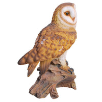 Pacific Giftware Realistic Looking Barn Owl Perched On Stump Statue Gallery Quality Detailed Sculpture Amazing Likeness Life Size Scale Resin Sculpture Hand Painted Statue Indoor Outdoor Decor