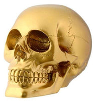 Gold Skull Head Collectible Skeleton Decoration Figurine