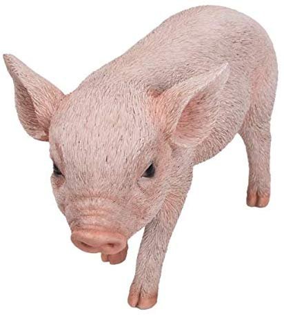 Pacific Giftware PT Realistic Look Statue Farm Baby Pig Piglet Home Decorative Resin Figurine