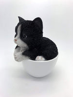 Pacific Giftware Adorable Teacup Pet Pals Cat Kittens Collectible Figurine 5.75 Inches