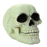 Pacific Giftware Glow in The Dark Luminescence Skull Halloween Decorative Accessory 3.75 Inch Tall