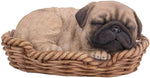Pacific Giftware Pug Puppy in Wicker Basket Pet Pals Collectible Dog Figurine 6.5 Inches L