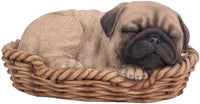 Pacific Giftware Pug Puppy in Wicker Basket Pet Pals Collectible Dog Figurine 6.5 Inches L